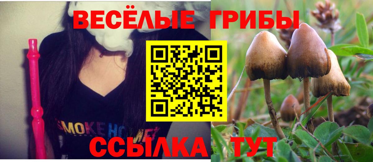 Галлюциногенные грибы Psilocybine cubensis  Вход с VPN  Камышин 